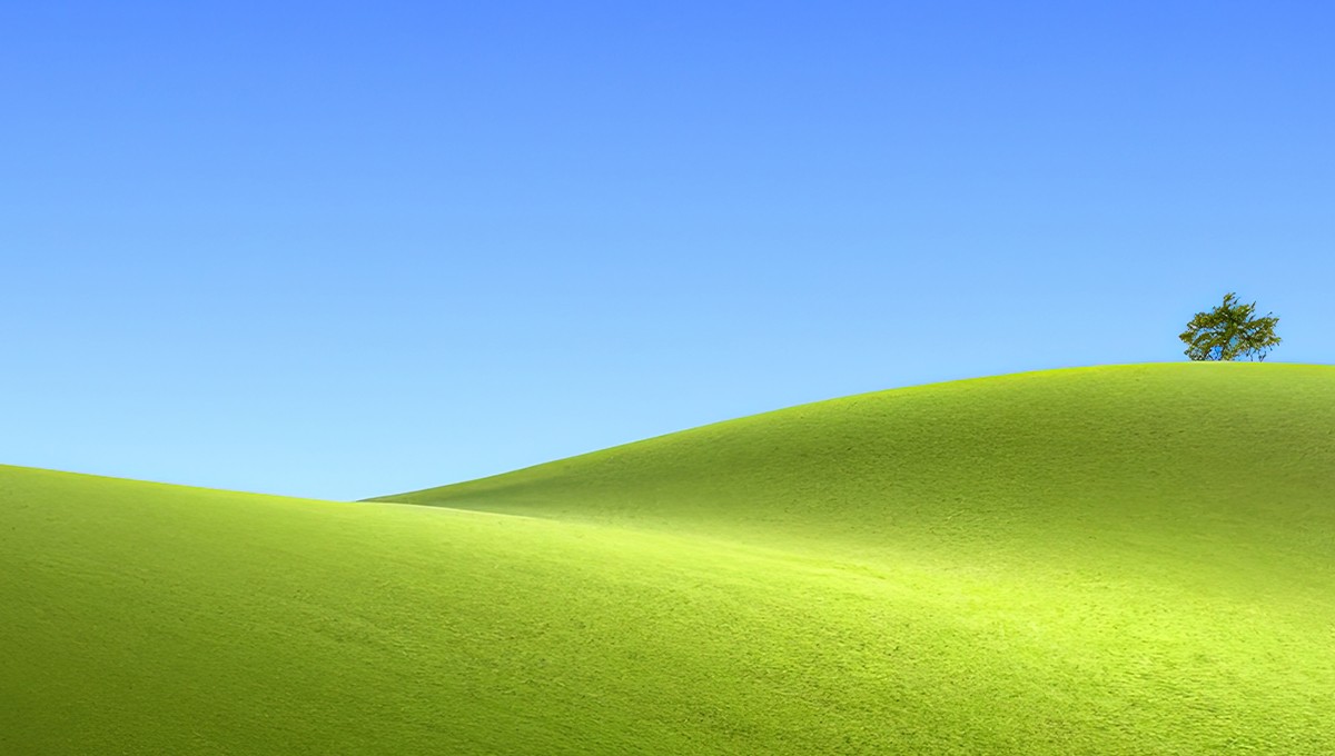 Blog Image