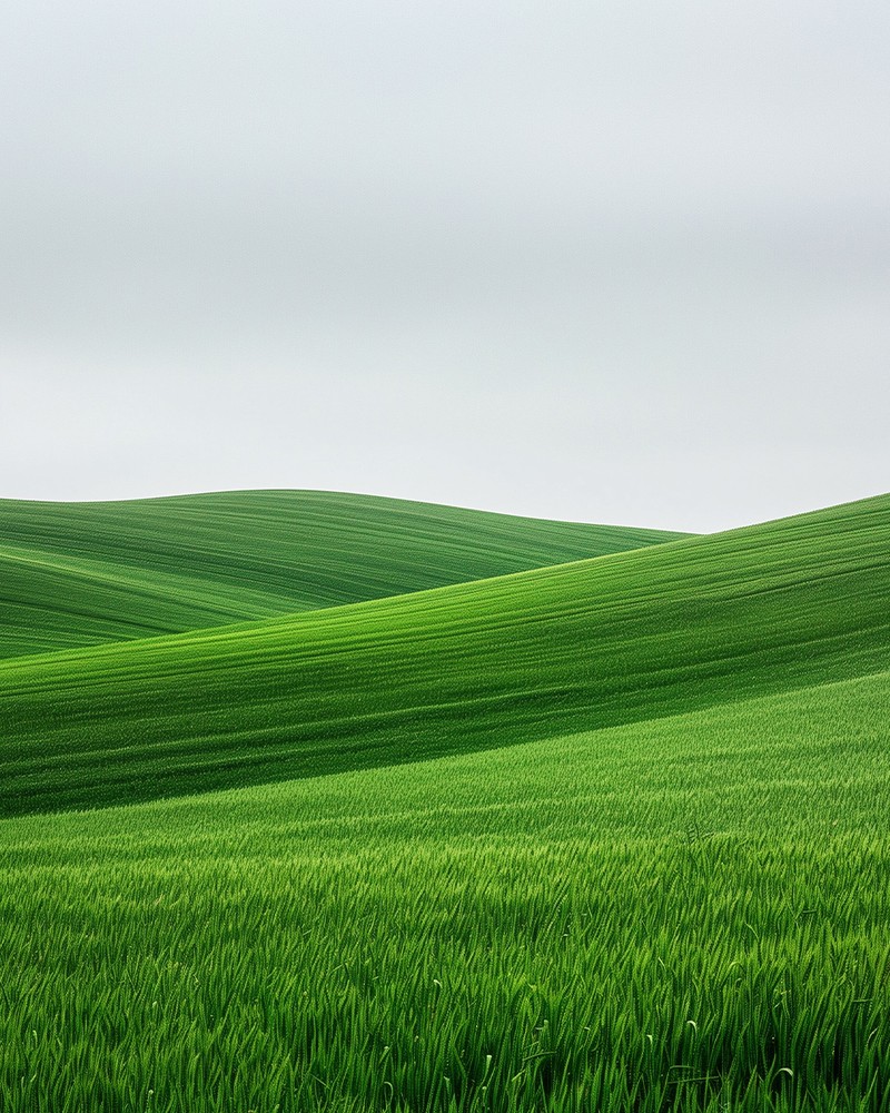 BG Image