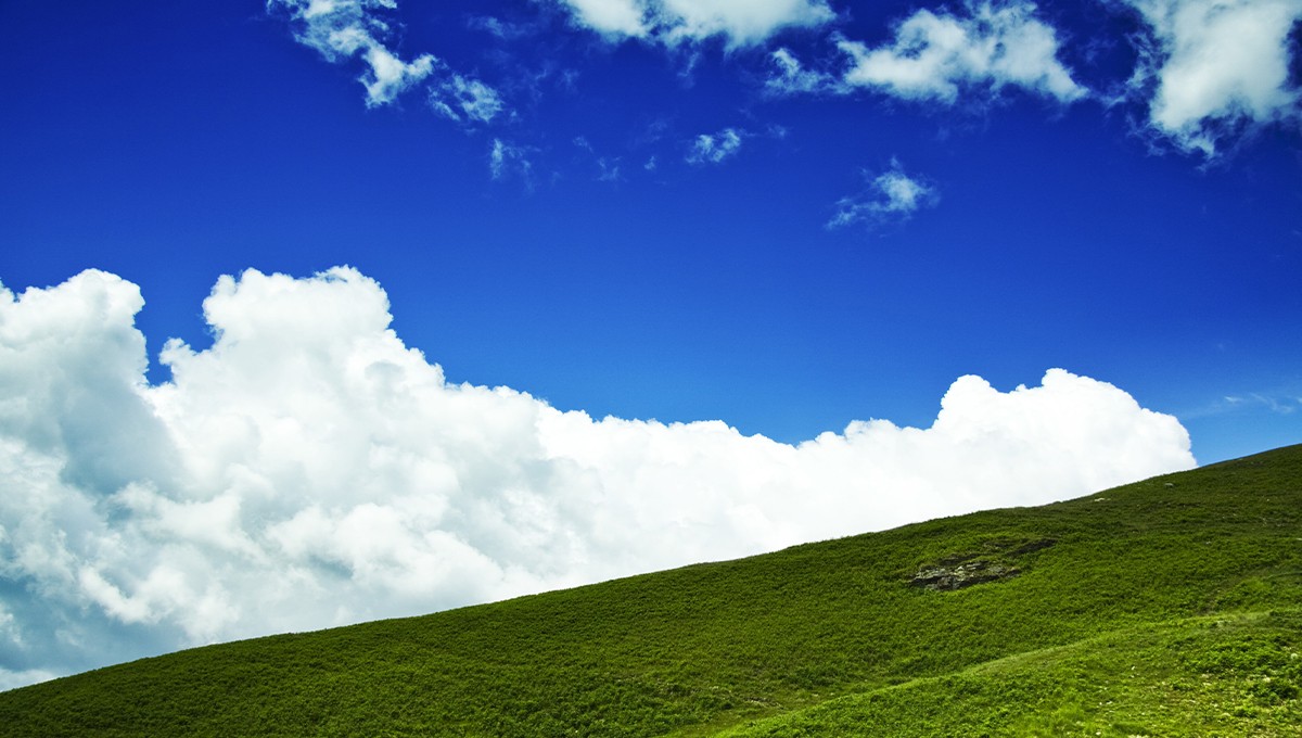 Blog Image